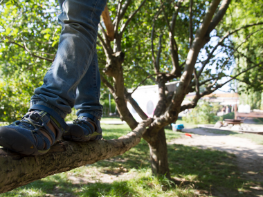 Barn balancerer på en gren
